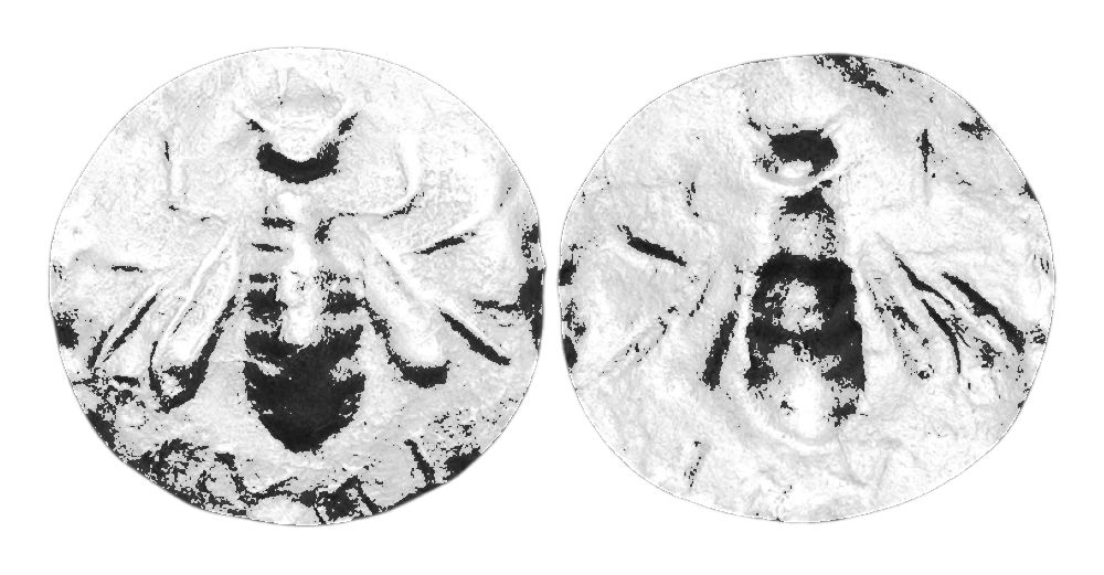obol01