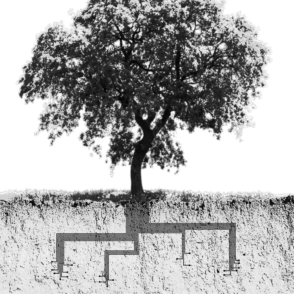 tree02
